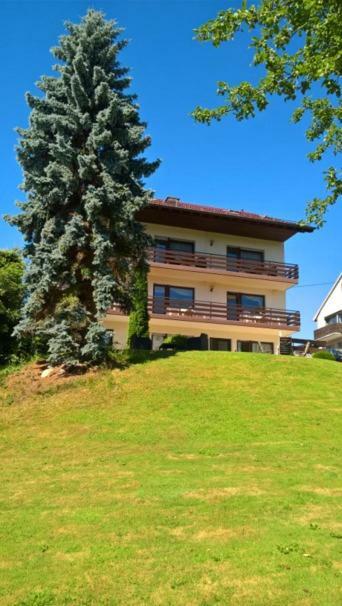 Pension Dabrunz Heimbach Bagian luar foto